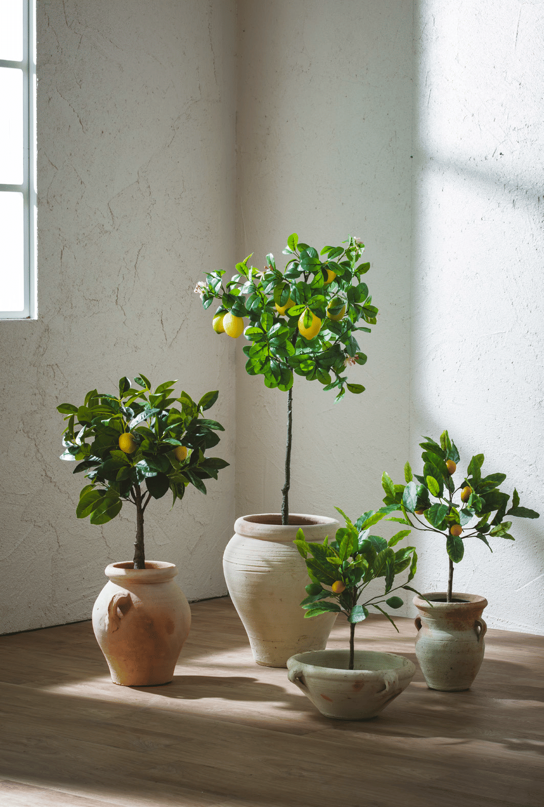 Лимонное дерево EDG Enzo De Gasperi Арт.250619,200