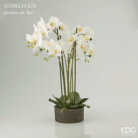 Орхидея EDG Enzo De Gasperi Арт.213684,10