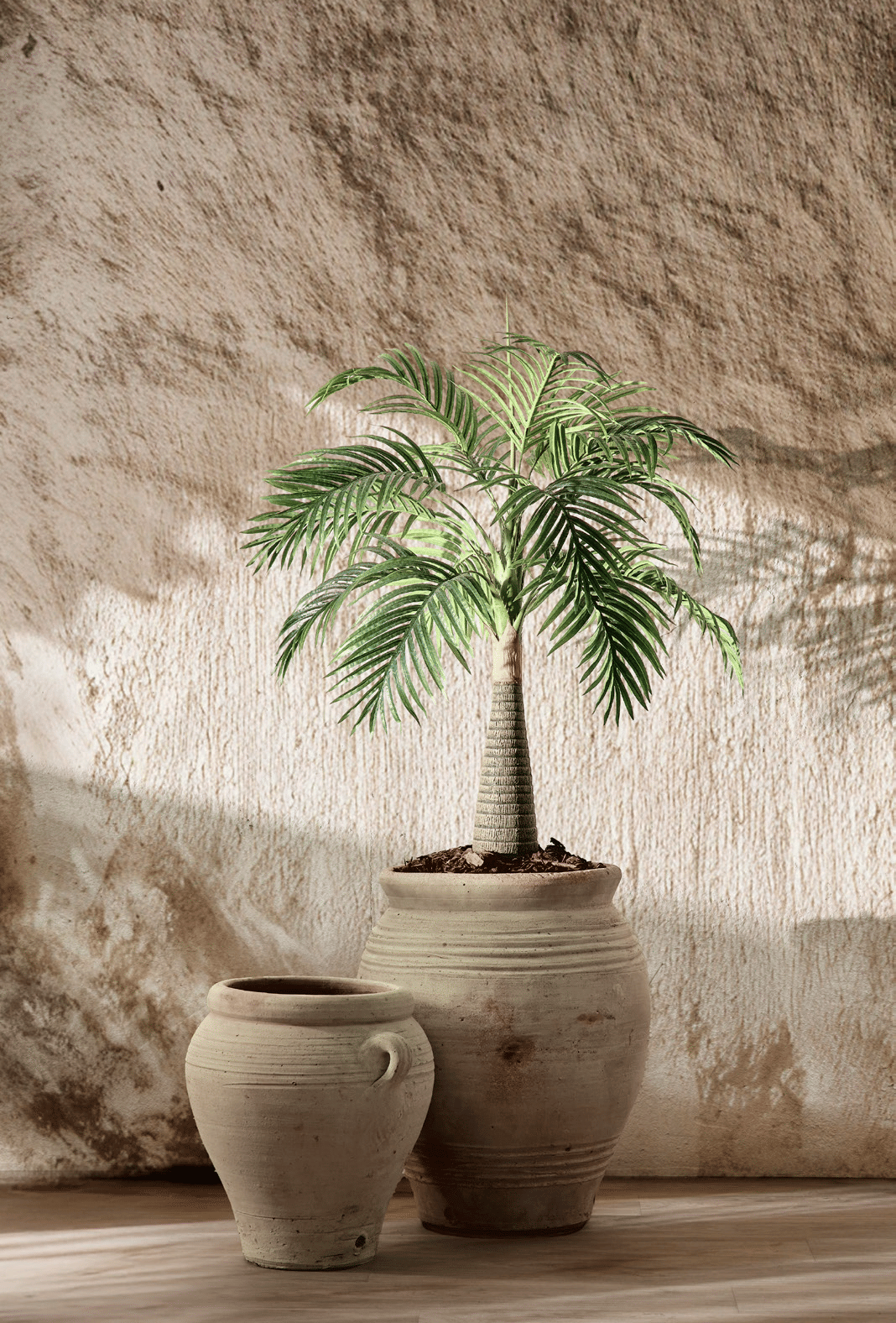 Пальма Арека EDG Enzo De Gasperi Арт.231593,710