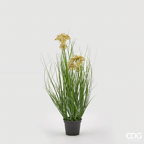 Овсяница EDG Enzo De Gasperi Арт.232419,12
