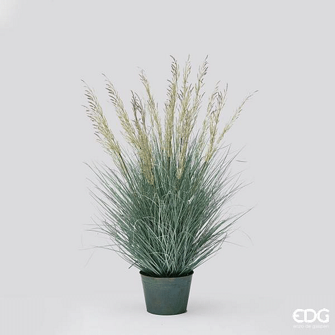 Овсяница EDG Enzo De Gasperi Арт.232236,54