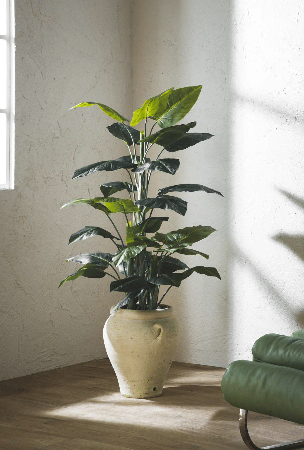 Калла EDG Enzo De Gasperi Арт.231031,700