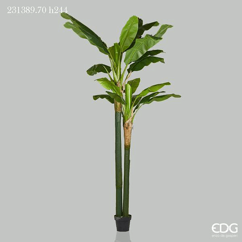 Банановая пальма EDG Enzo De Gasperi Арт.231389,700