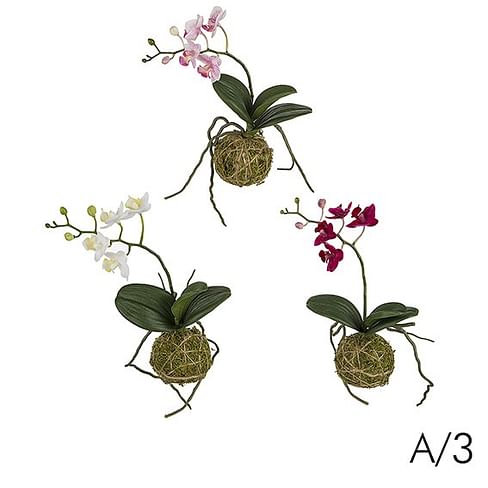 Орхидея подвесная SIA Арт.030224