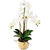 Орхидея в золотом горшке SIA Арт.SIA-4781