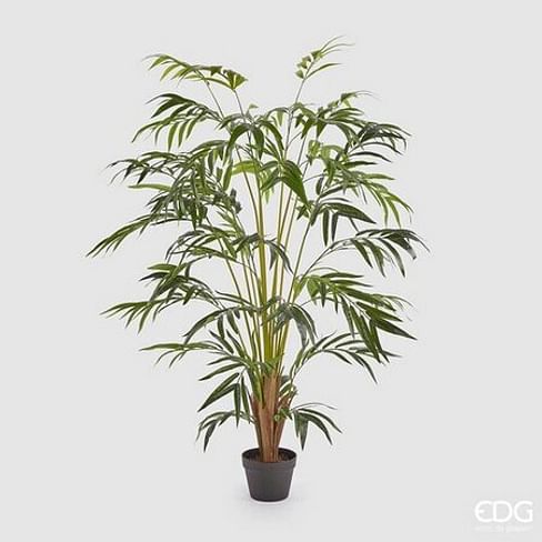 Пальма Арека EDG Enzo De Gasperi Арт.230956,700
