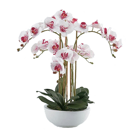 Орхидея в горшке EDG Enzo De Gasperi Арт.214292,58