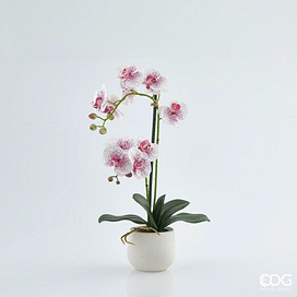 Орхидея в горшке EDG Enzo De Gasperi Арт.214735,58