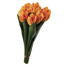 Тюльпаны букет SIA Арт.041182