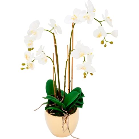 Орхидея в горшке SIA Арт.SIA-4779