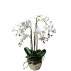 Орхидея в горшке SIA Арт.SIA-4779