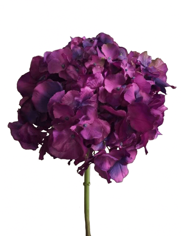 Гортензия SIA Арт.SIA-4313