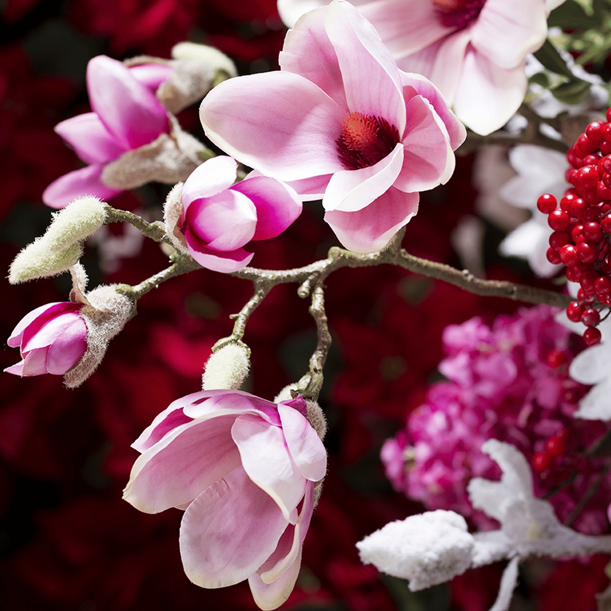 Ягоды SIA Арт.150247