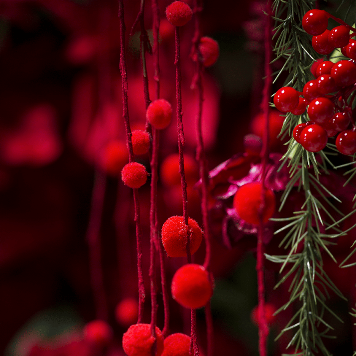 Ягоды SIA Арт.150247