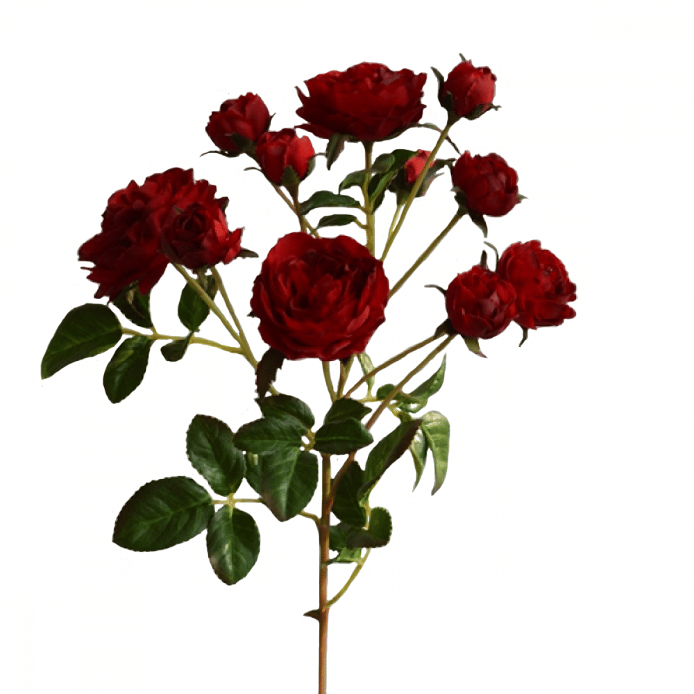 Роза Чайная SIA Арт.SIA-4129