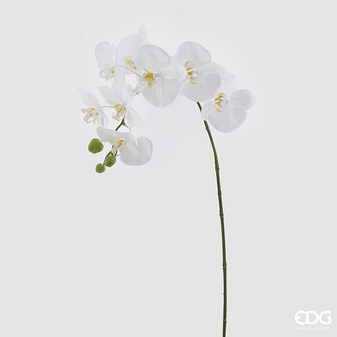 Орхидея EDG Enzo De Gasperi Арт.214465,10