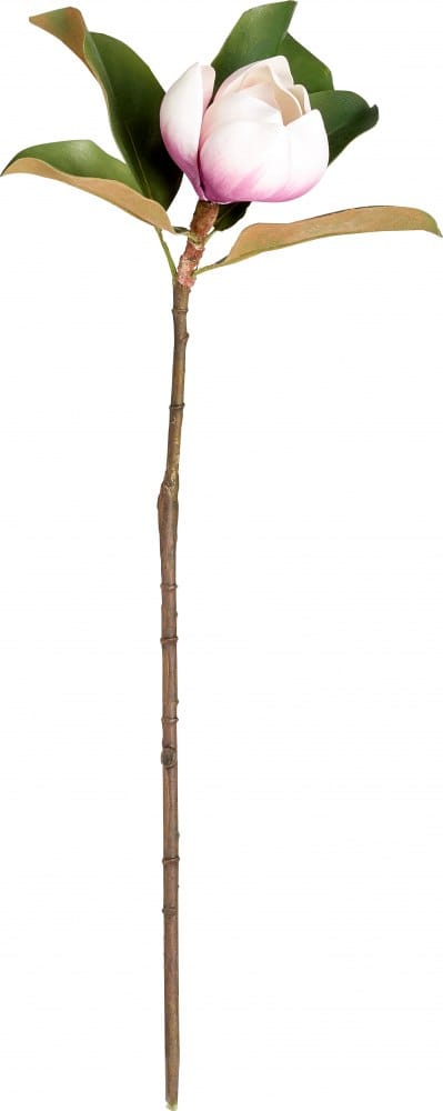 Магнолия SIA Арт.SIA-4961