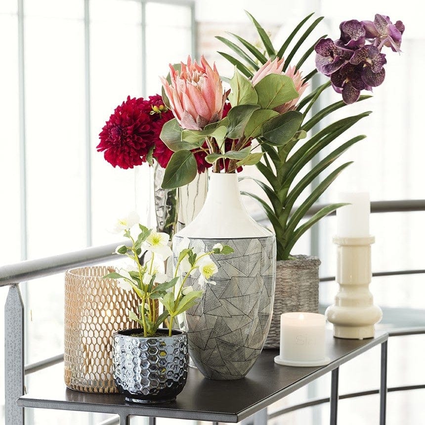 Георгина SIA Арт.011638