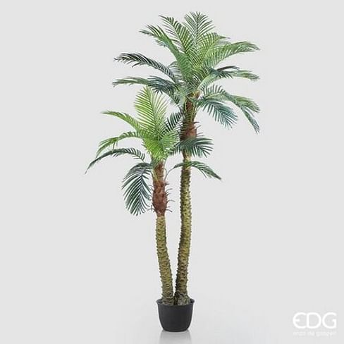 Пальма Арека EDG Enzo De Gasperi Арт.231793,700