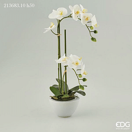 Орхидея в горшке EDG Enzo De Gasperi Арт.213683,10