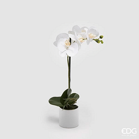 Орхидея в горшке EDG Enzo De Gasperi Арт.214184,10
