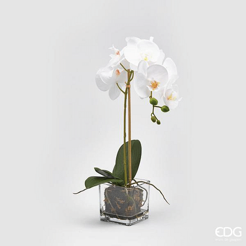 Орхидея в горшке EDG Enzo De Gasperi Арт.215290,10