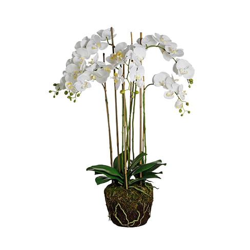 Орхидея во мху SIA Арт.060189