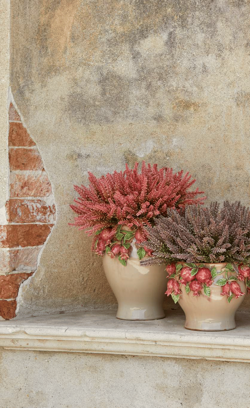 Вереск EDG Enzo De Gasperi Арт.215218,56