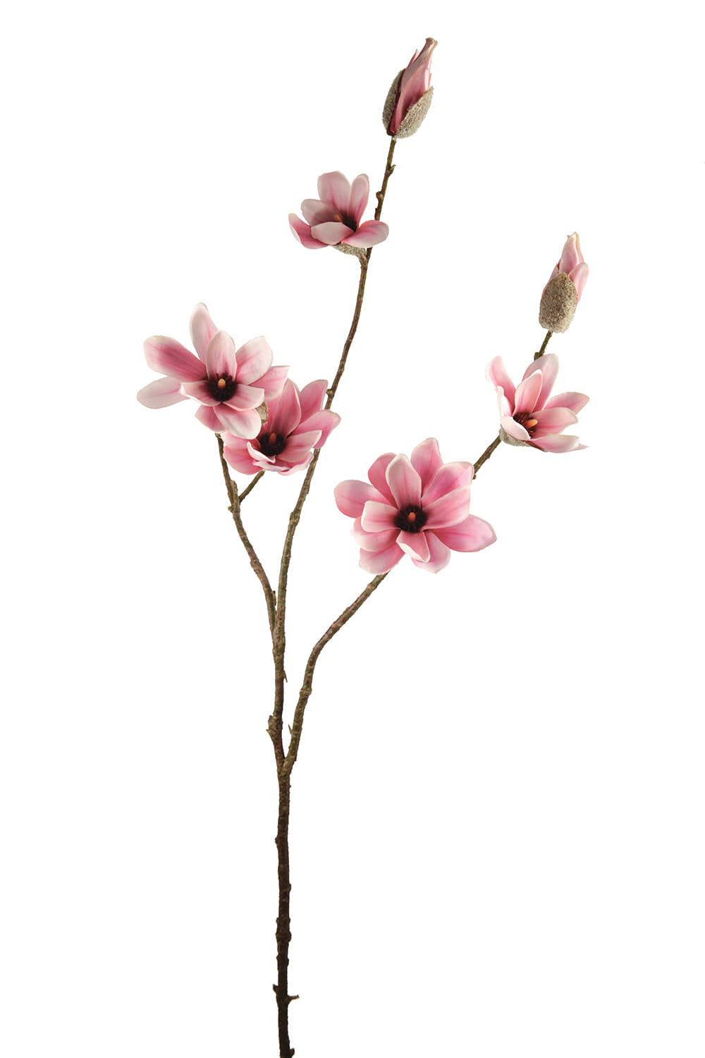 Магнолия SIA Арт.012151