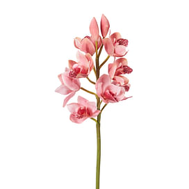 Орхидея цимбидиум SIA Арт.012637