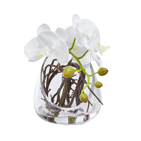 Орхидея в вазе SIA Арт.093947