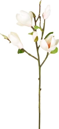 Магнолия SIA Арт.SIA-4305