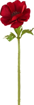 Анемон SIA Арт.SIA-4469