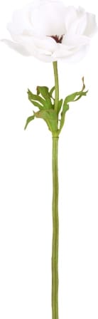 Анемон SIA Арт.SIA-4471