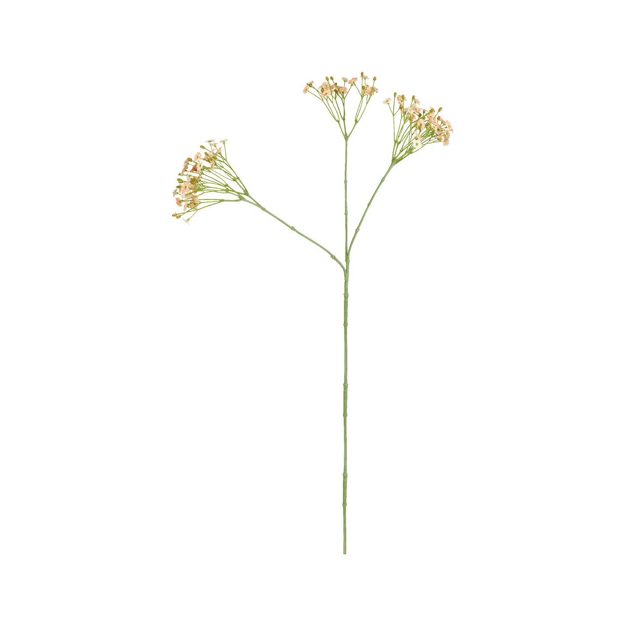 Гипсофила SIA Арт.SIA-4599