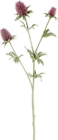 Чертополох SIA Арт.SIA-4625