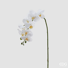 Орхидея EDG Enzo De Gasperi Арт.213253,10
