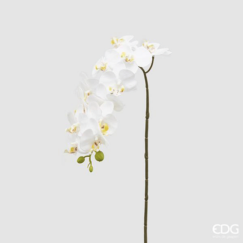 Орхидея EDG Enzo De Gasperi Арт.213254,10