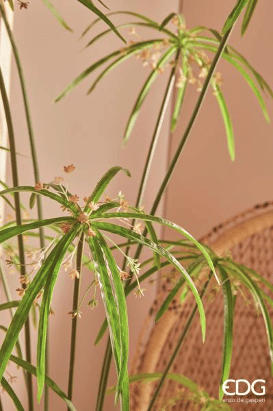 Папирус EDG Enzo De Gasperi Арт.233052,70