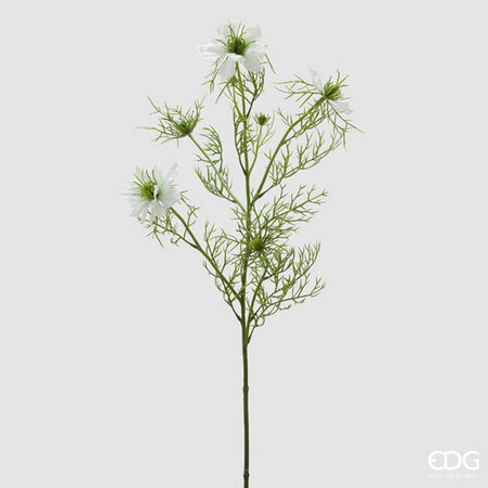 Чернушка EDG Enzo De Gasperi Арт.2100121A100