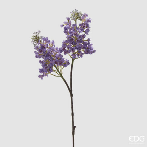 Сирень EDG Enzo De Gasperi Арт.2100129A661