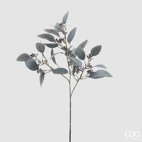 Эвкалипт EDG Enzo De Gasperi Арт.2300042A788
