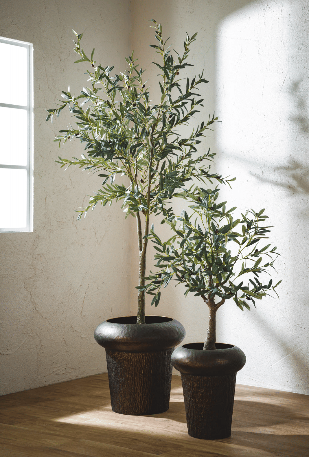 Оливковое дерево EDG Enzo De Gasperi Арт.2500021A700