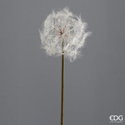 Одуванчик EDG Enzo De Gasperi Арт.2100138A100