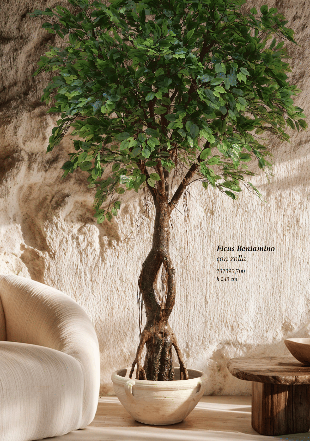 Фикус Бенджамина EDG Enzo De Gasperi Арт.232395,700