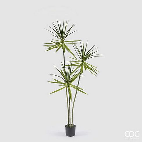 Юкка EDG Enzo De Gasperi Арт.2300087A700