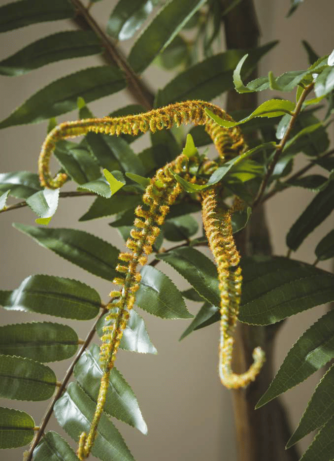 Айлант EDG Enzo De Gasperi Арт.2300187A700