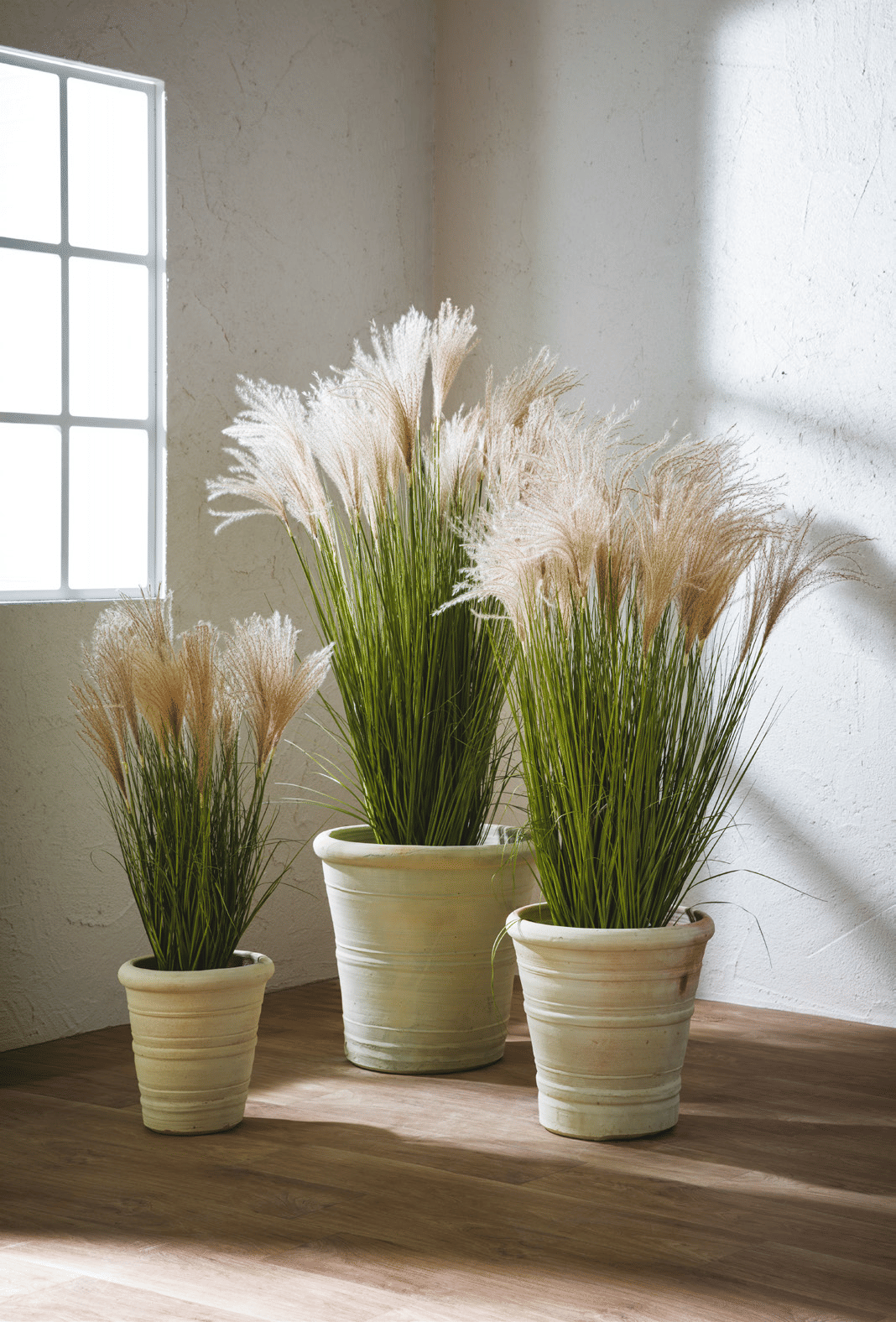 Овсяница EDG Enzo De Gasperi Арт.2300211A170