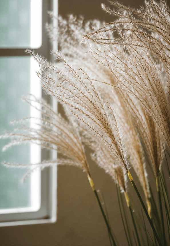 Овсяница EDG Enzo De Gasperi Арт.2300212A170