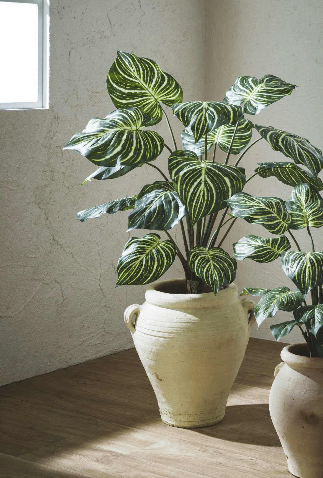 Калатея EDG Enzo De Gasperi Арт.2300241A170